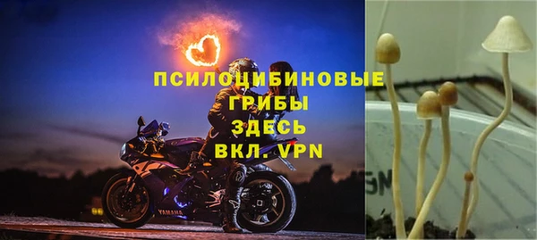 ГАЛЛЮЦИНОГЕННЫЕ ГРИБЫ Навашино