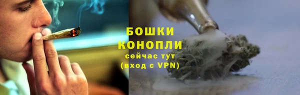 ГАЛЛЮЦИНОГЕННЫЕ ГРИБЫ Навашино