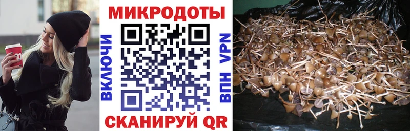 ОМГ ОМГ ONION  Ессентукская  Галлюциногенные грибы GOLDEN TEACHER  хочу  